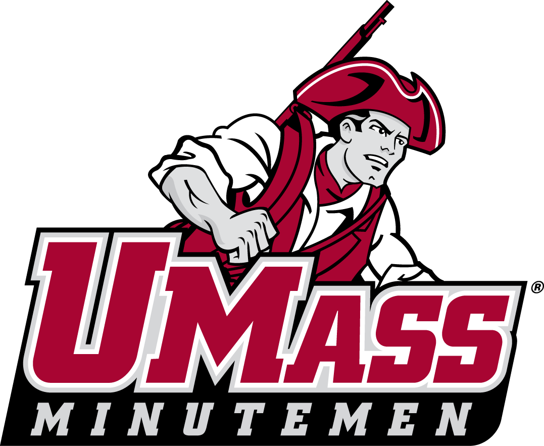 Massachusetts Minutemen 2012-Pres Secondary Logo DIY iron on transfer (heat transfer)